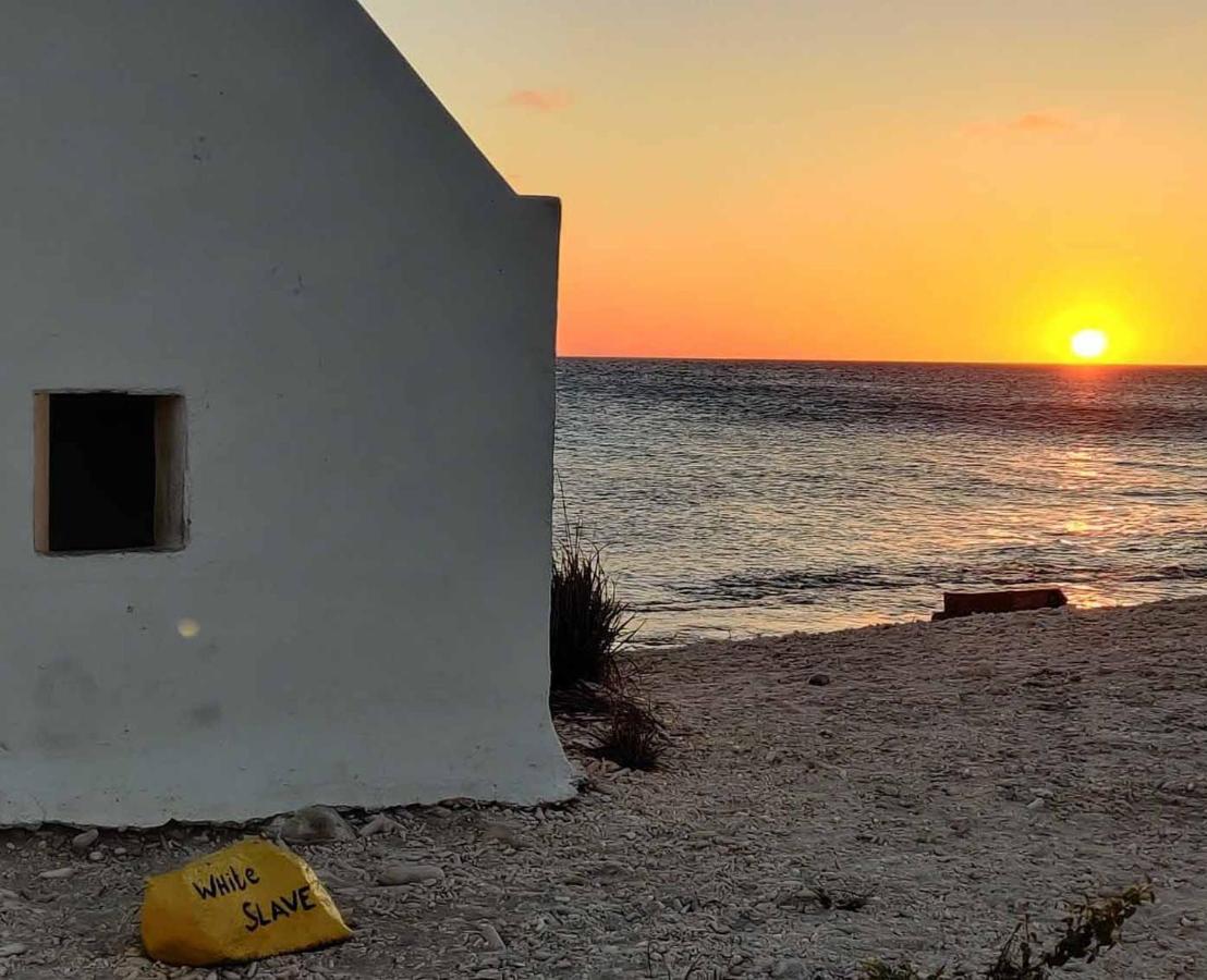 Casa Mantana Bonaire Bed and Breakfast Κράλεντικ Εξωτερικό φωτογραφία